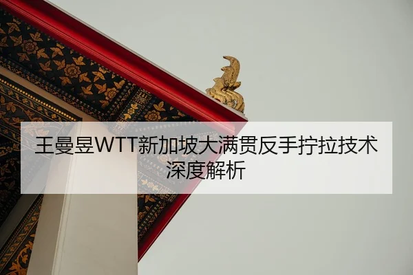 wang-man-yu-xin-jia-po-da-man-guan-fan-shou-ning-la-ji-shu-shen-du-jie-xi-3-785.jpg