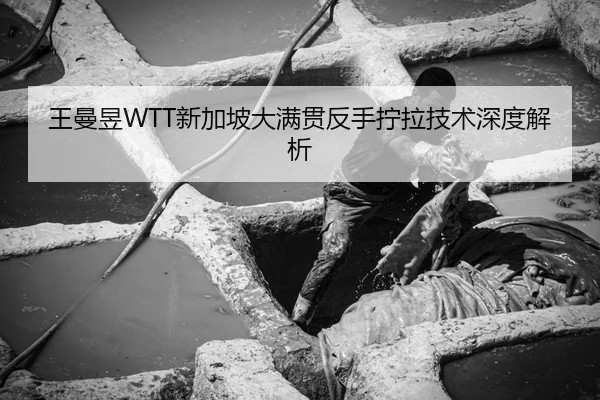 王曼昱WTT新加坡大满贯反手拧拉技术深度解析