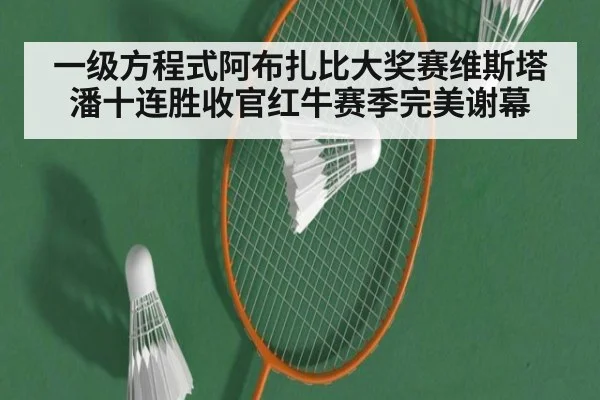 一级方程式阿布扎比大奖赛维斯塔潘十连胜收官红牛赛季完美谢幕